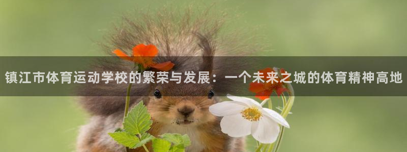 JJB竞技宝官网下载招商电话:镇江市体育运动学校的繁荣与发展
