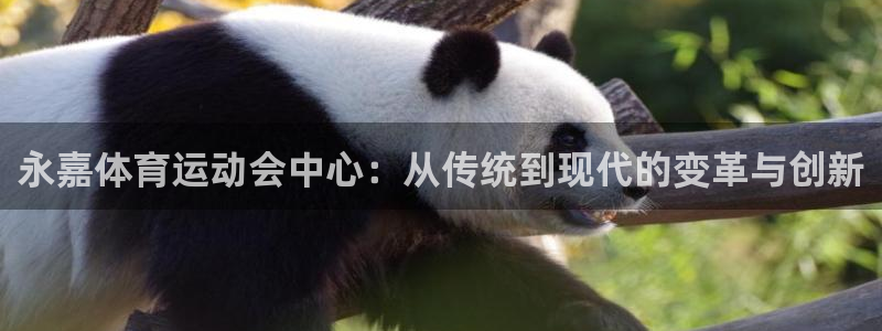 JJB竞技宝官网下载招商电话号码:永嘉体育运动会中心:从传统