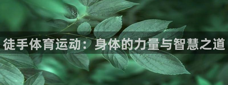 JJB竞技宝官方正版app娱乐网站:徒手体育运动:身体的力量