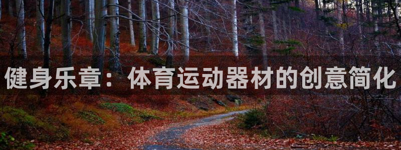 JJB竞技宝官方正版app娱乐:健身乐章:体育运动器材的创意