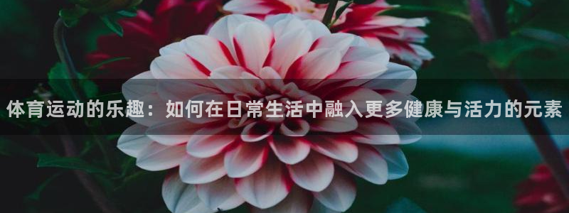 JJB竞技宝官方正版app集团官网网址:体育运动的乐趣:如何